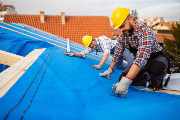 Best Roof Ventilation Installation  in Lufkin, TX